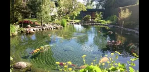 Image of Holiday house in a charming and fantastic location on Lake Plauer for 4 people