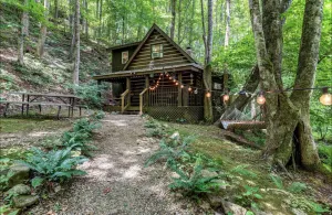 Image of Cozy Cabin in the Woods Hammock Private