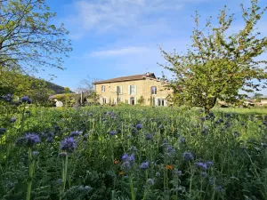 Image of Cottage in the countryside