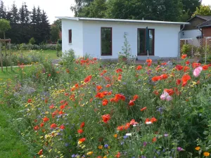 Image of Holiday house with garden near the Baltic Sea