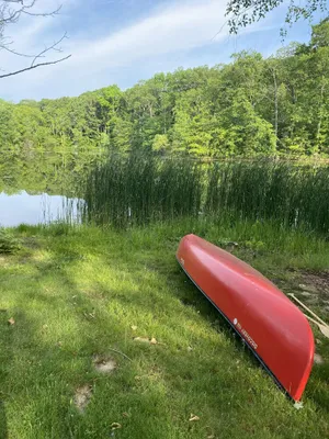 Image of Country Farmhouse with Private Fishing & Swimming Pond, Walking Trails & Gardens