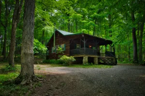 Image of Cozy Cabin Among the Trees - Rustic Charm, Modern Comforts,  26 Secluded Acres
