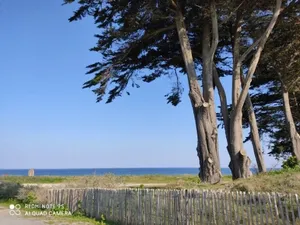 Image of Appartement au rdc Lumineux à 100m de la Plage Port Haliguen