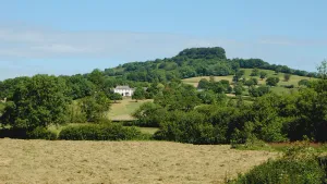 Image of Orchard Barn nr Honiton with 200 acres of parkland & ancient woodland