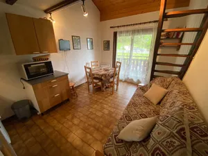 Image of Studio avec mezzanine, balcon et parking à Châtel, proche des remontées mécaniques - FR-1-693-17