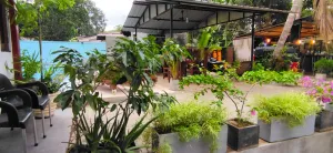 Image of Kutumbaya