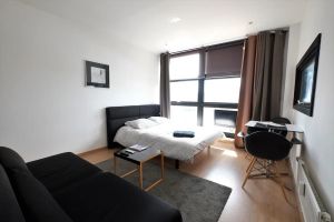 Image of Appartement Gare Lille Europe