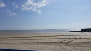 Image of Studio feet in the water