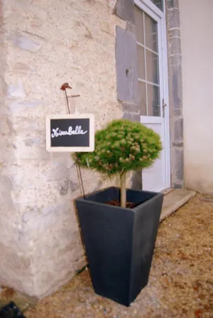 Image of Cottage \"MIRABELLE\" in the countryside with swimming pool