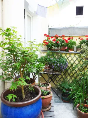 Image of Quiet studio on courtyard Paris 14th near Montparnasse, 25 m2