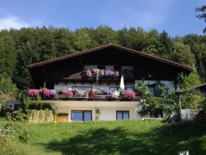 Image of Angela Siedl