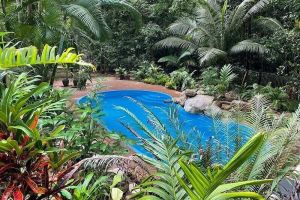 Image of WaitaWhile Eco Retreat - Holiday sustainably, pool, walk to beach