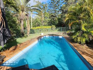 Image of Stylish House Near Bikeway and Lone Pine Koala