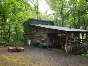 Image of Comfy cabin in the woods with huge party deck