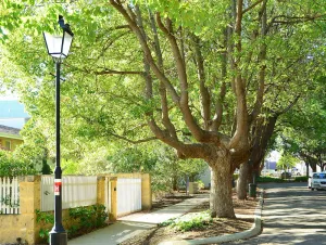 Image of Rupert Retreat 2