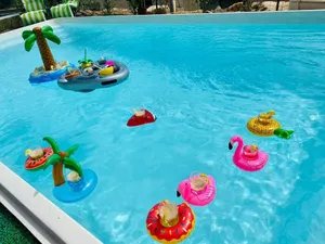 Image of Villa Favone 4 chambres piscine privée