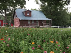 Image of Cottage Properties - Country Log Cabin