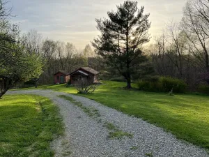 Image of Cozy County Cabin in the woods