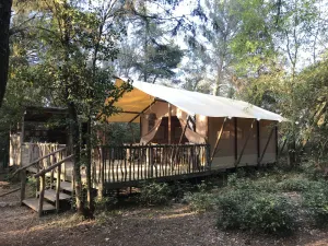 Image of TENTE LODGE SAFARI
