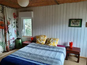 Image of Tywood original wooden house