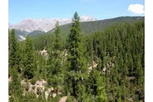 Image of Dragon Fly Village.