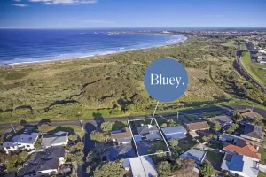 Image of Bluey