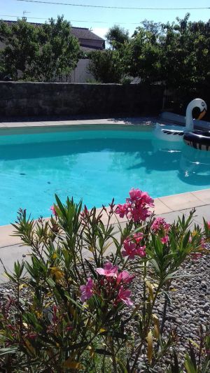 Image of Gîte du Cayras, in southern Ardèche, quiet location, with swimming pool and private terrace