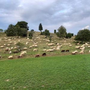 Image of Urlaub wo die Alb am Höchsten ist