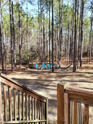 Image of Renovated 3 BR Near Ginnie Springs