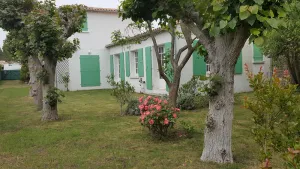 Image of House in a walled garden, near the center, very quiet