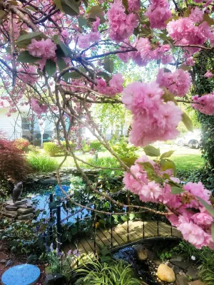 Image of Welcome to vacation paradise