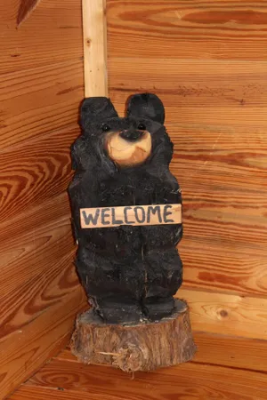 Image of Fall fun at the cabin! Convenient to Lake Keowee and Clemson