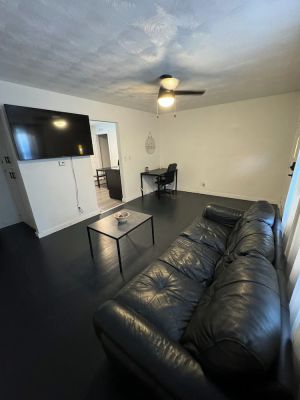 Image of Minimalistic Modern Pet Friendly Home in SGF, MO