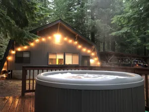 Image of Unique Mt. Rainier Cabin - Private Hot Tub - Wood Stove - Snowshoes