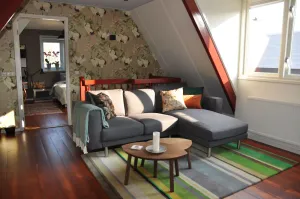 Image of Cozy House in Harlingen city center for pleasure and work