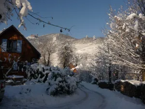 Image of Independent lodging in a huge private park in Ribeauville