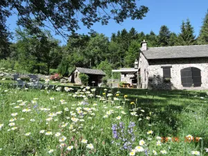 Image of Tranquil Getaway: Cozy Home with Forest Views, Fireplace, and Family Amenities