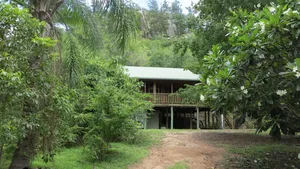Image of Kameruka - Modern, Queenslander style island home in leafy bushland with balcony