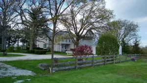 Image of Country Retreat - Forest stroll, pond + wildlife