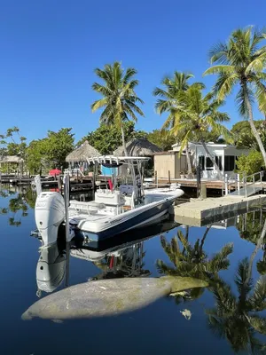 Image of Paradise in Key Largo Florida 2