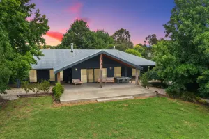 Image of Cottonwoods