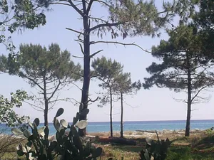 Image of HOLIDAY 'THE WATERFRONT'