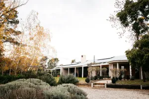 Image of Wattagan Homestead Wallaroo wine region