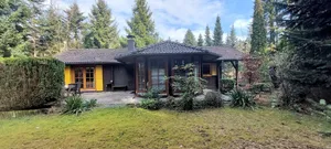 Image of Rest and relaxation in the forest - All Inclusive -