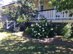 Image of Delightful Queensland ..Country Cottage..With Comfort and Style
