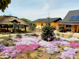 Image of Pension am Reethaus