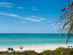 Image of Island Living By The Beach By The Pool .....Win Win..