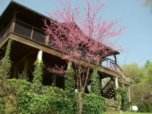 Image of AMAZING LOG TREEHOUSE CABIN ON THE COLORADO RIVER