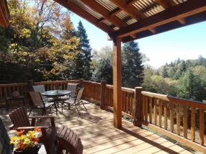 Image of Vintage\/Modern Cabin Fever!  Fun on the Mountain!