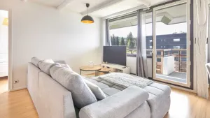 Image of CITYES -305- Appt 4 pers au pied des pistes